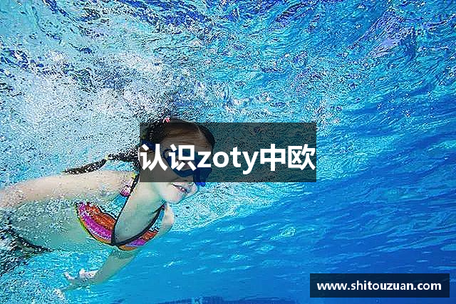 认识zoty中欧